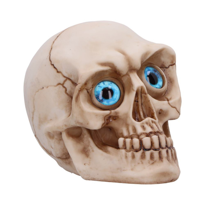 Eyes Wide Open (Blue) 12c