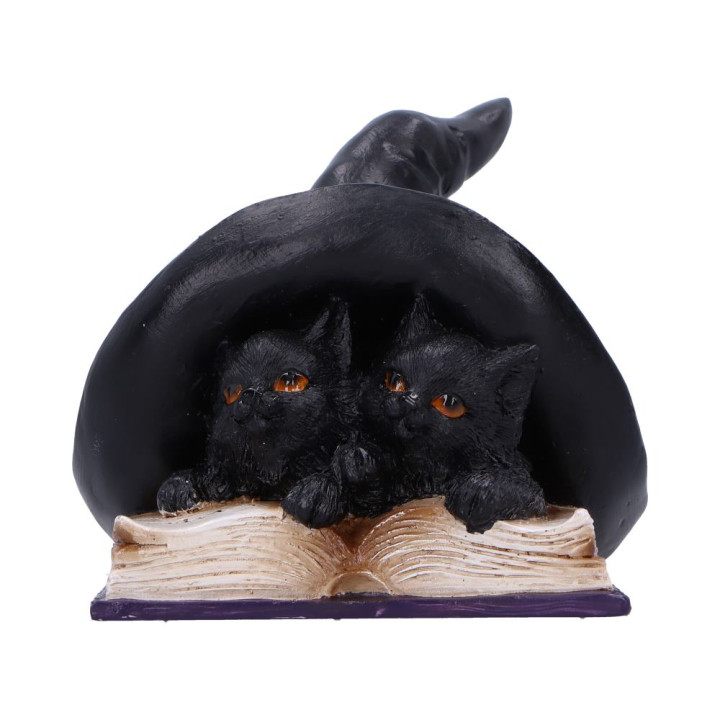 Potion Pair