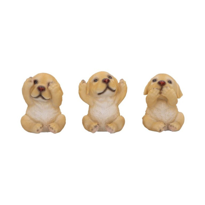 Three Wise Golden Labrado