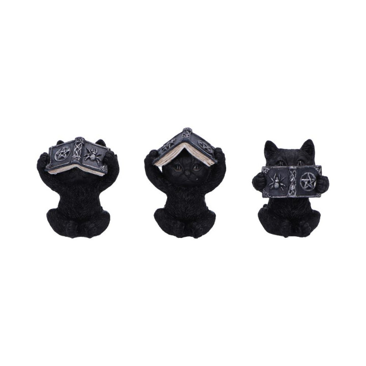 Three Wise Spell Cats 8.5