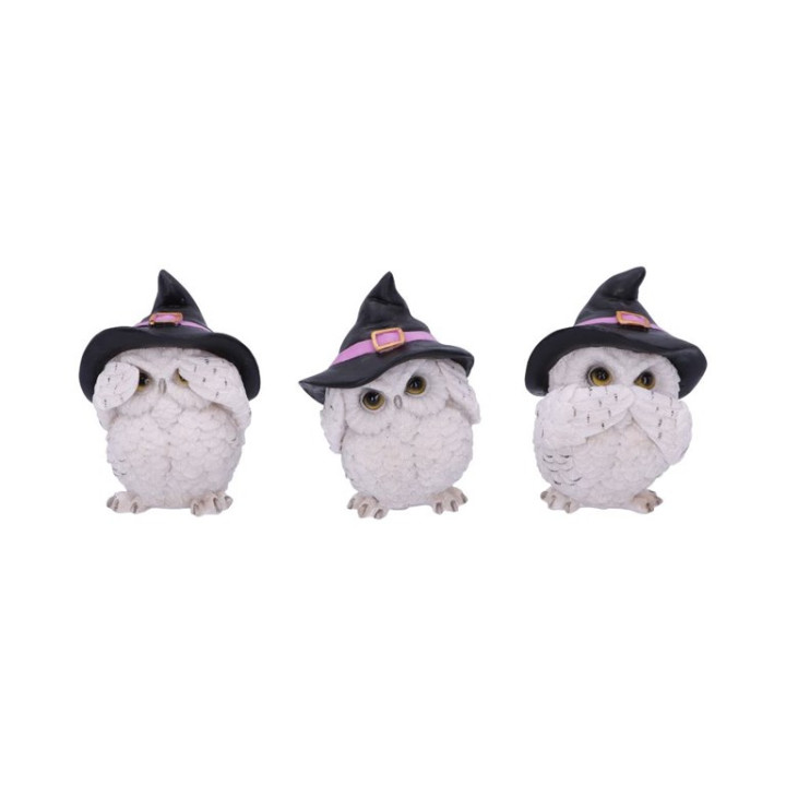 Three Wise Feathered Fami