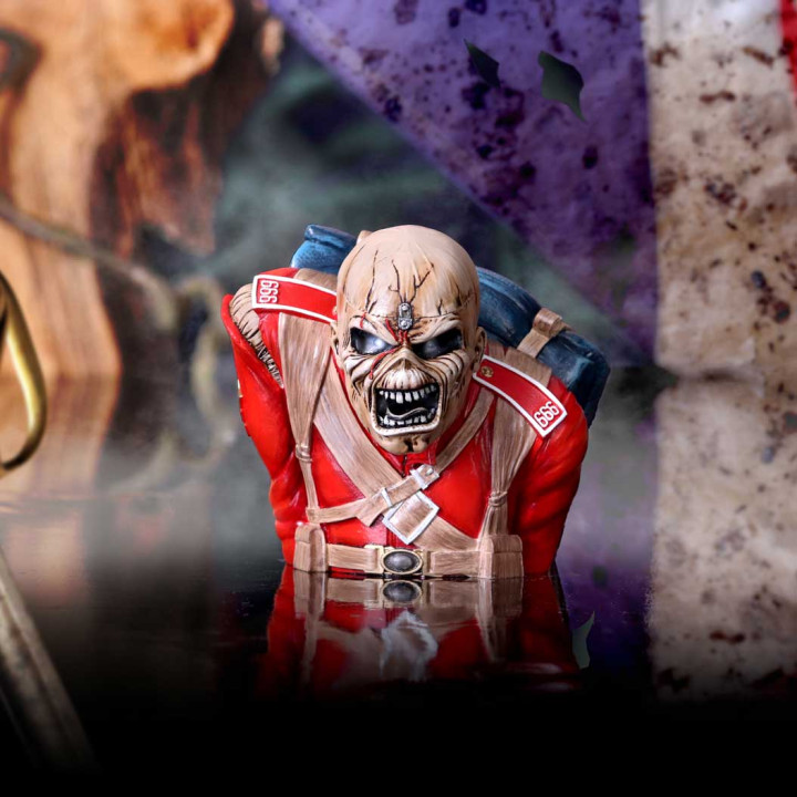 Iron Maiden The Trooper B