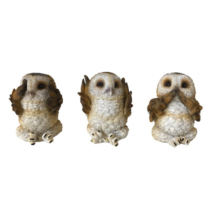 Three Wise Brown Owls 7,5