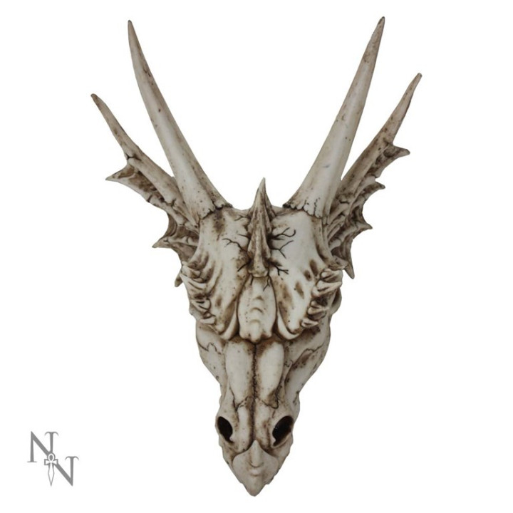 The Last Dragon Skull 32c