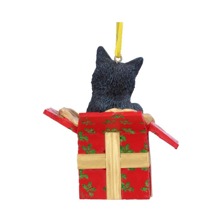Present Cat Hanging Ornam
