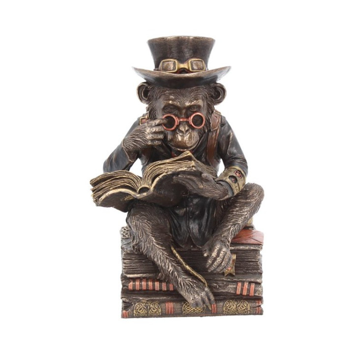 Chimpanzee Scholar 19,5cm