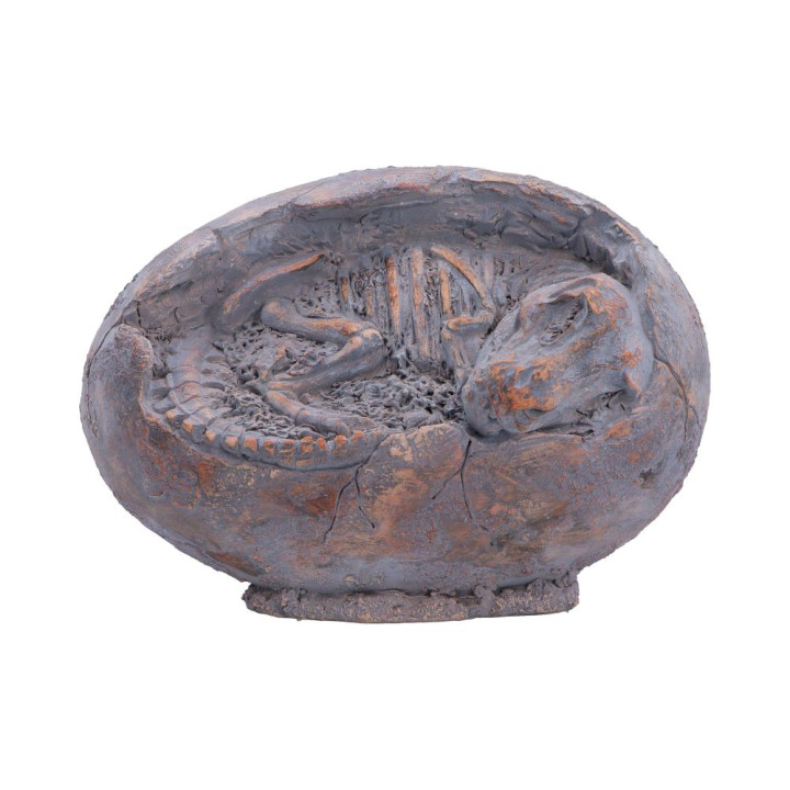 Tyrannosaurus Rex Egg