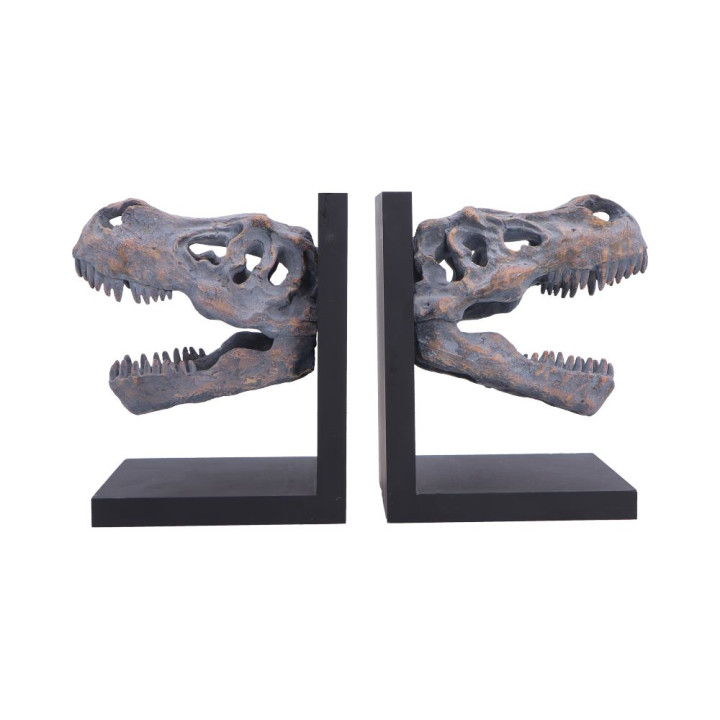 Tyrannosaurus Rex Skull B