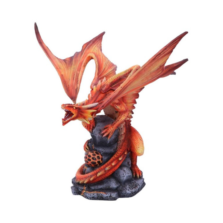 Adult Fire Dragon (AS) 24