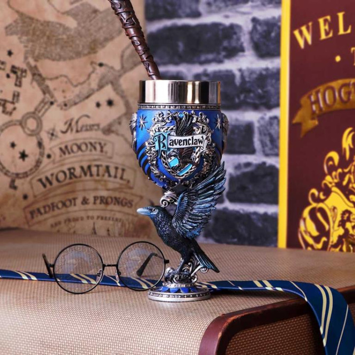 Harry Potter Ravenclaw Co