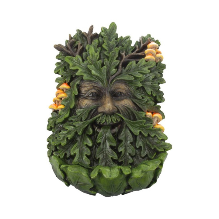 Elderwood 23,8cm