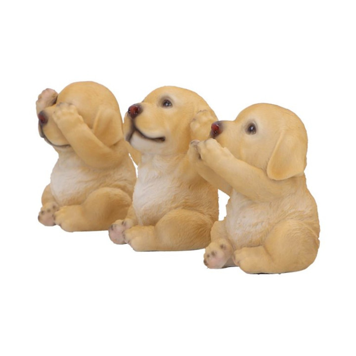 Three Wise Golden Labrado