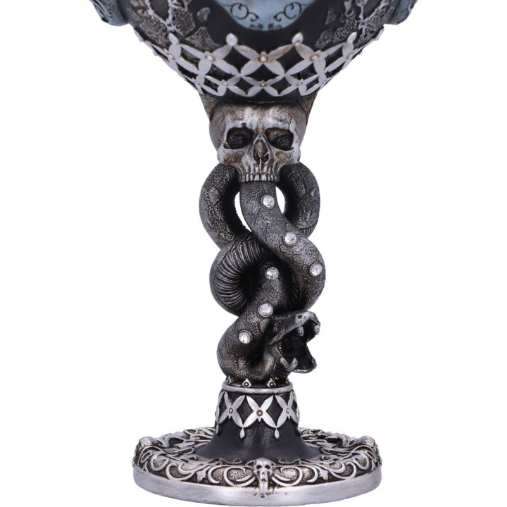 Harry Potter Death Eater