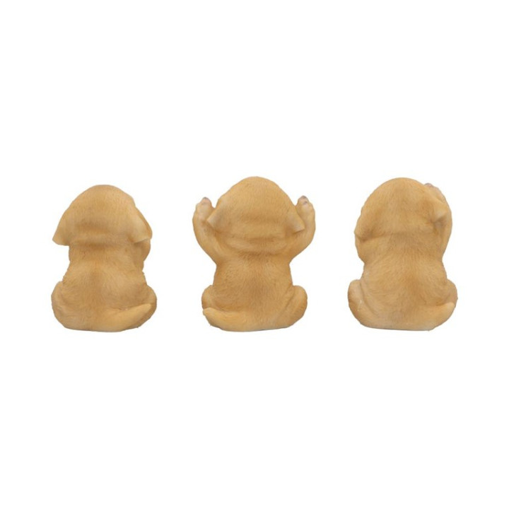 Three Wise Golden Labrado