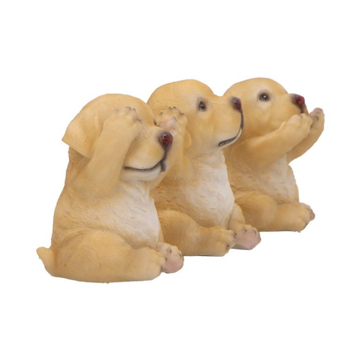 Three Wise Golden Labrado