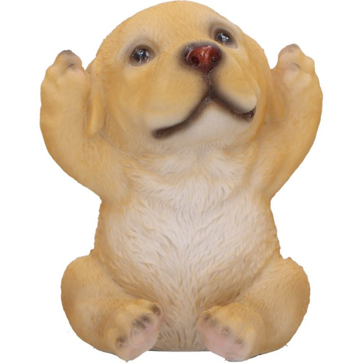 Three Wise Golden Labrado
