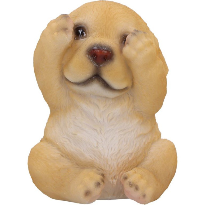 Three Wise Golden Labrado