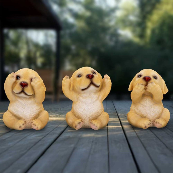 Three Wise Golden Labrado