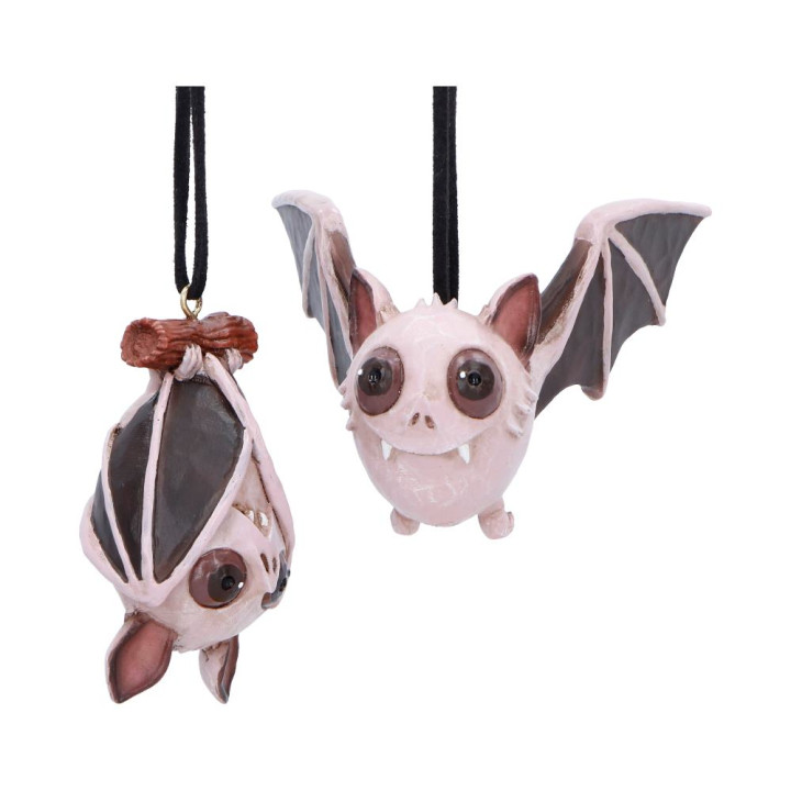Sneak and Peak Hanging Or