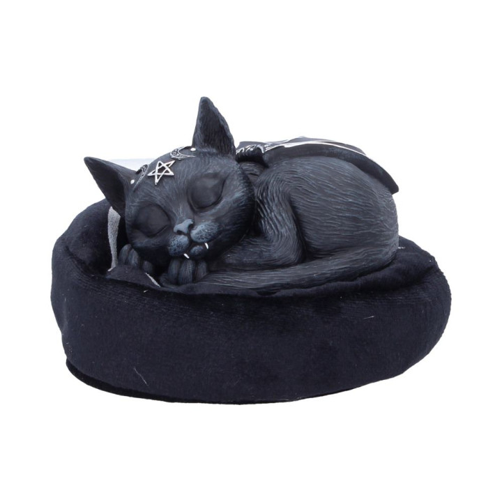 Malpuss Dreams