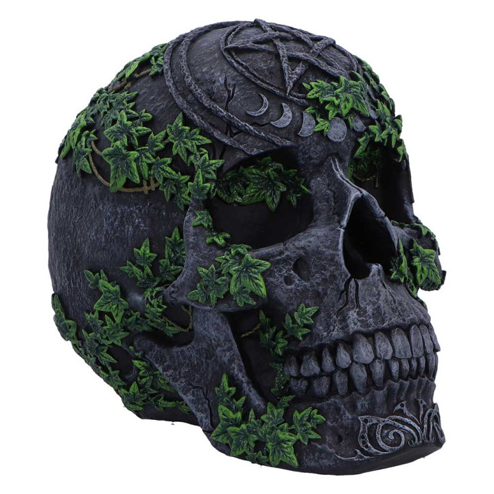 Aged Pentagram Skull 18.8
