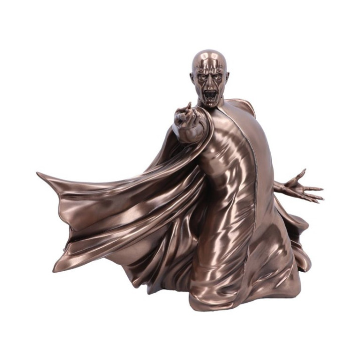 Harry Potter Voldemort Du