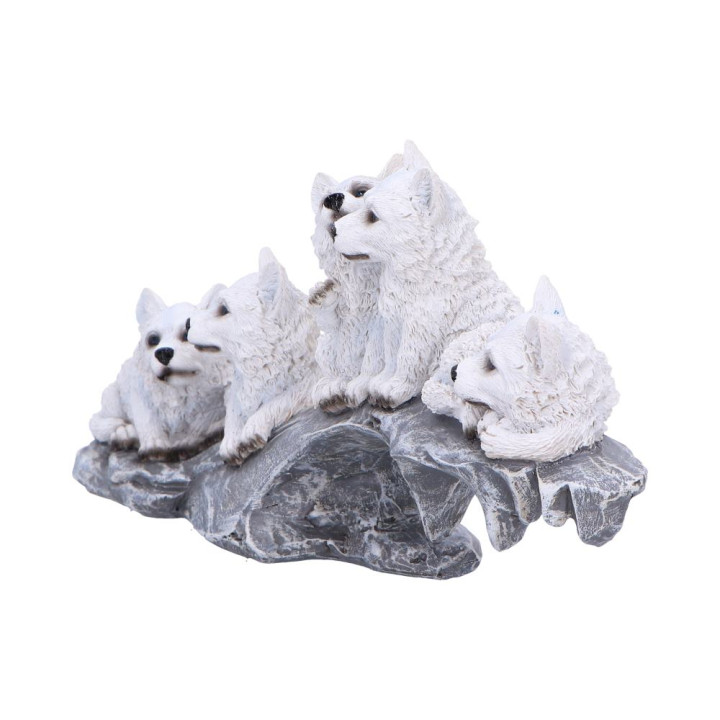 Winter Litter 25cm
