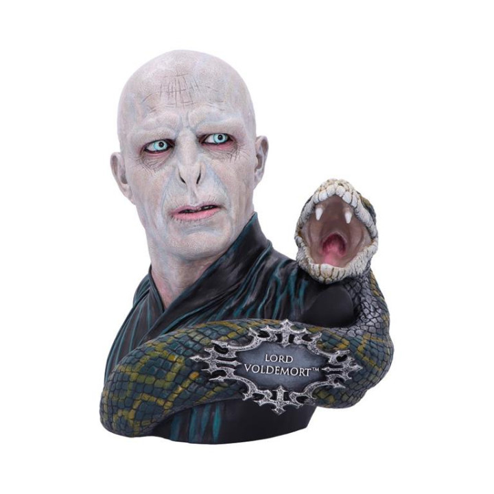 Harry Potter Lord Voldemo