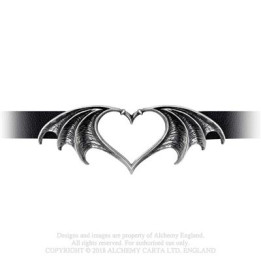 Nocte Amor