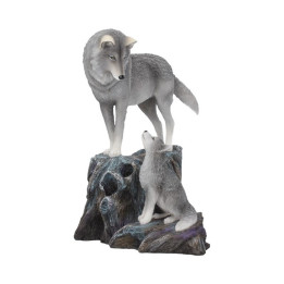 Guidance 25cm (LP)
