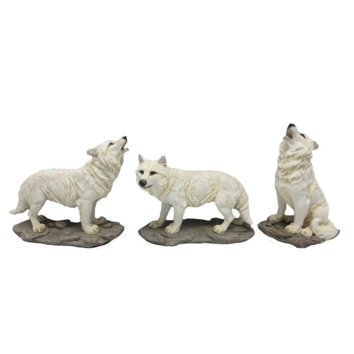 Série de 3 loups blancs 1