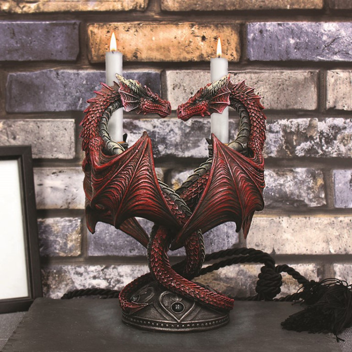 Dragon Heart (AS) 23cm -
