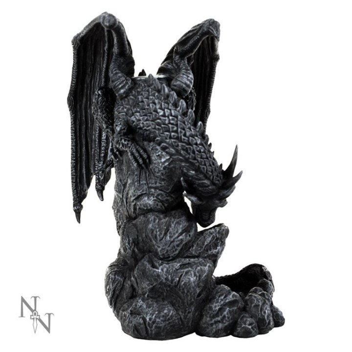 Dragon Pool Backflow Ince