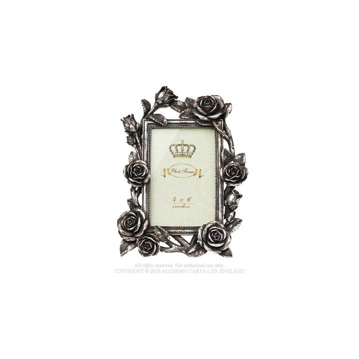 Rose e Vine 6x4 Photo Fr