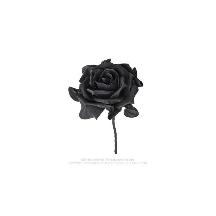 Single Large Black Rose w