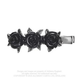 Wild Black Rose