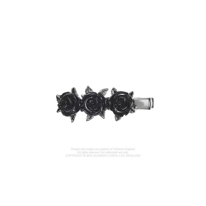 Wild Black Rose
