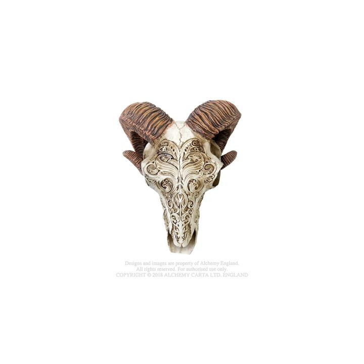 Skrimshaw - Rams Skull