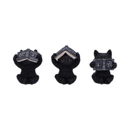 Three Wise Spell Cats 8.5