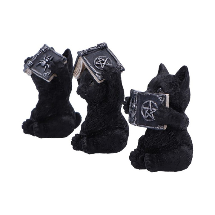 Three Wise Spell Cats 8.5