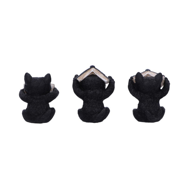 Three Wise Spell Cats 8.5