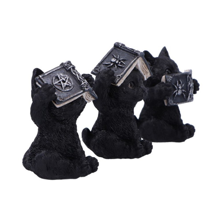 Three Wise Spell Cats 8.5