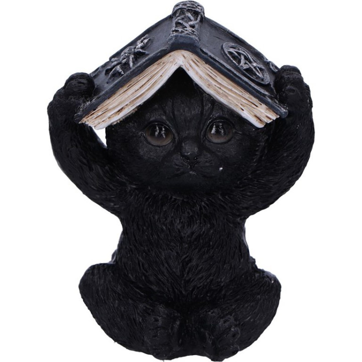 Three Wise Spell Cats 8.5