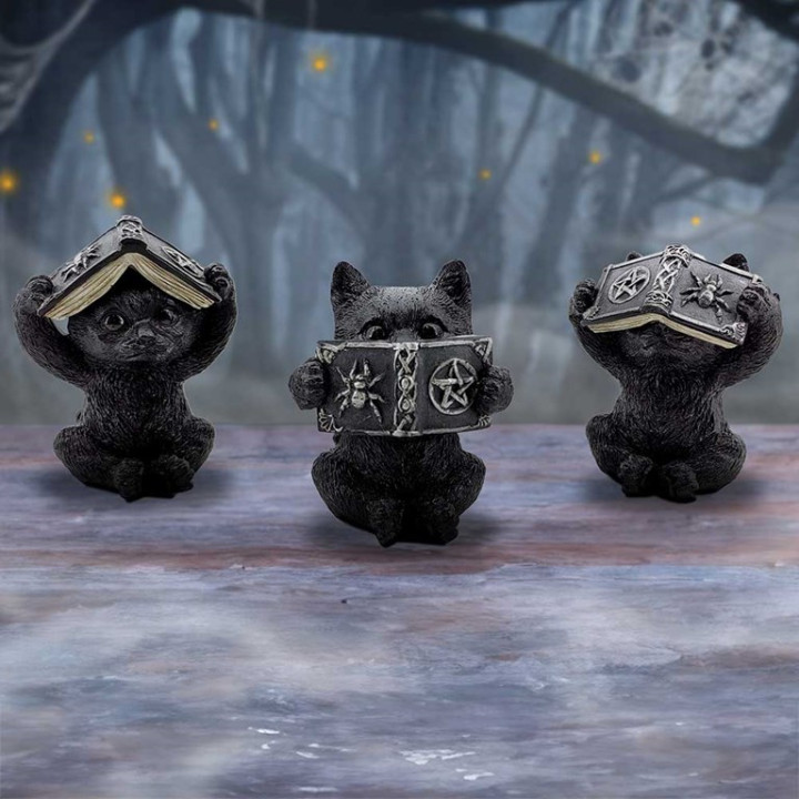 Three Wise Spell Cats 8.5