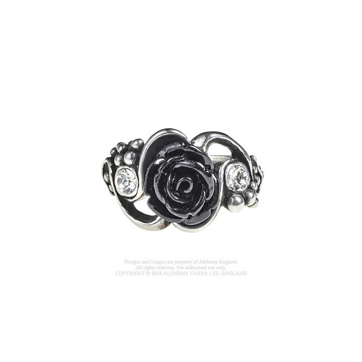 Bacchanal Rose