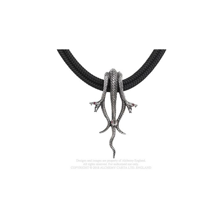 Hydra