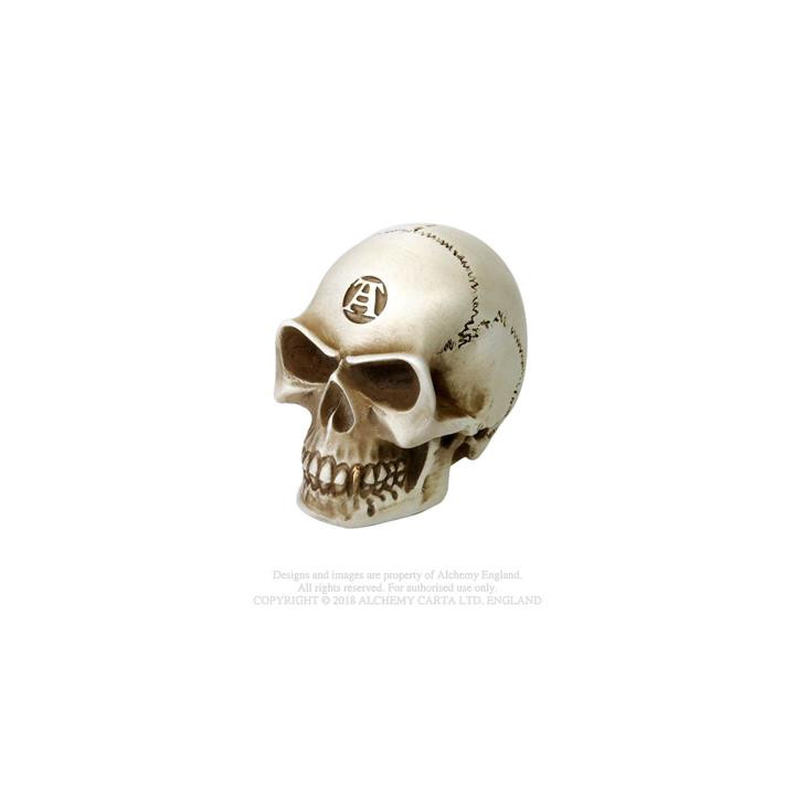 Alchemist Bone - Gear Kno