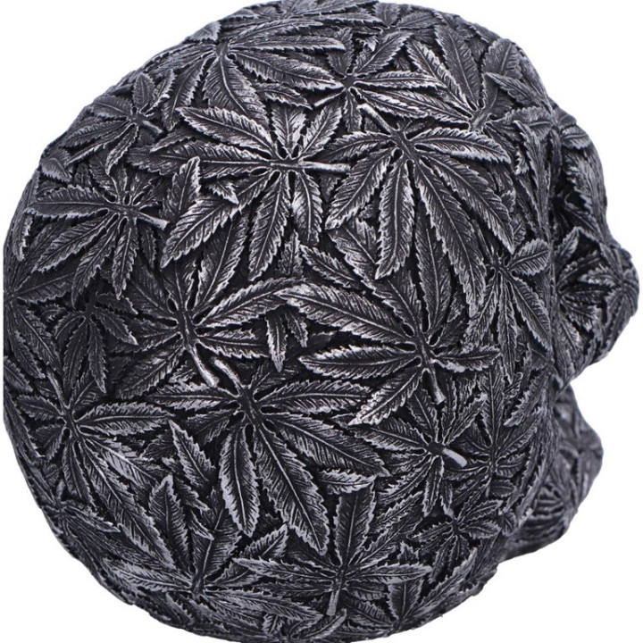 High Life 15.5cm