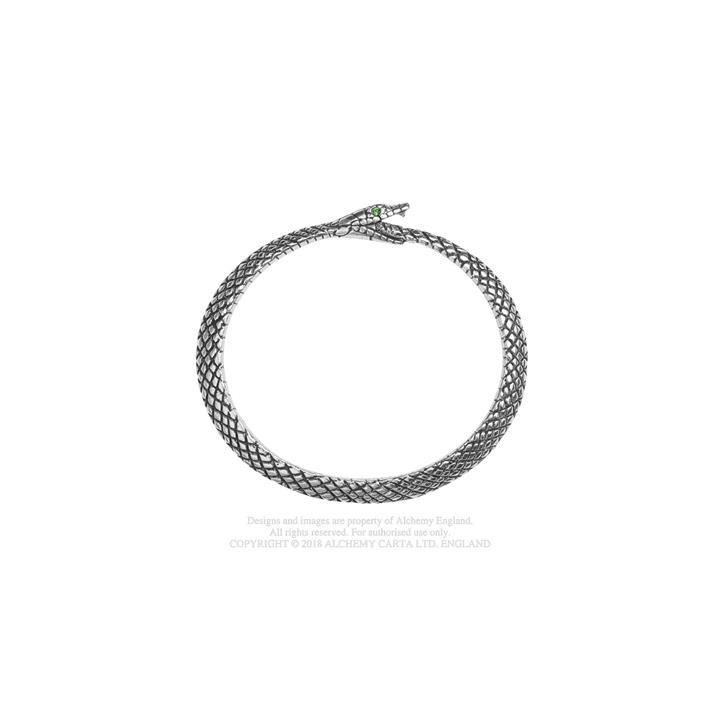 The Sophia Serpent