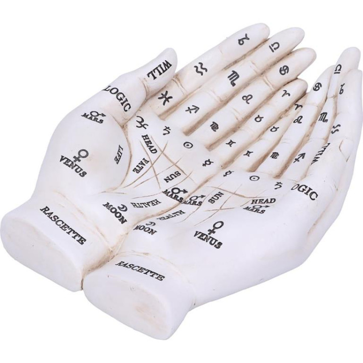 Palmists Guide (White) 2